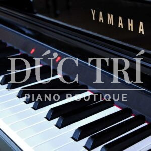 Phím đàn trên đàn Yamaha CSP-295GP