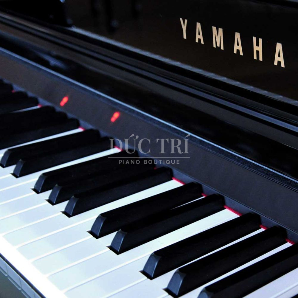 Phim dan tren dan Yamaha CSP 295GP Yamaha CSP-295GP Phím đàn trên đàn Yamaha CSP-295GP