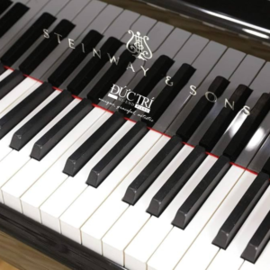 Phím Steinway S155