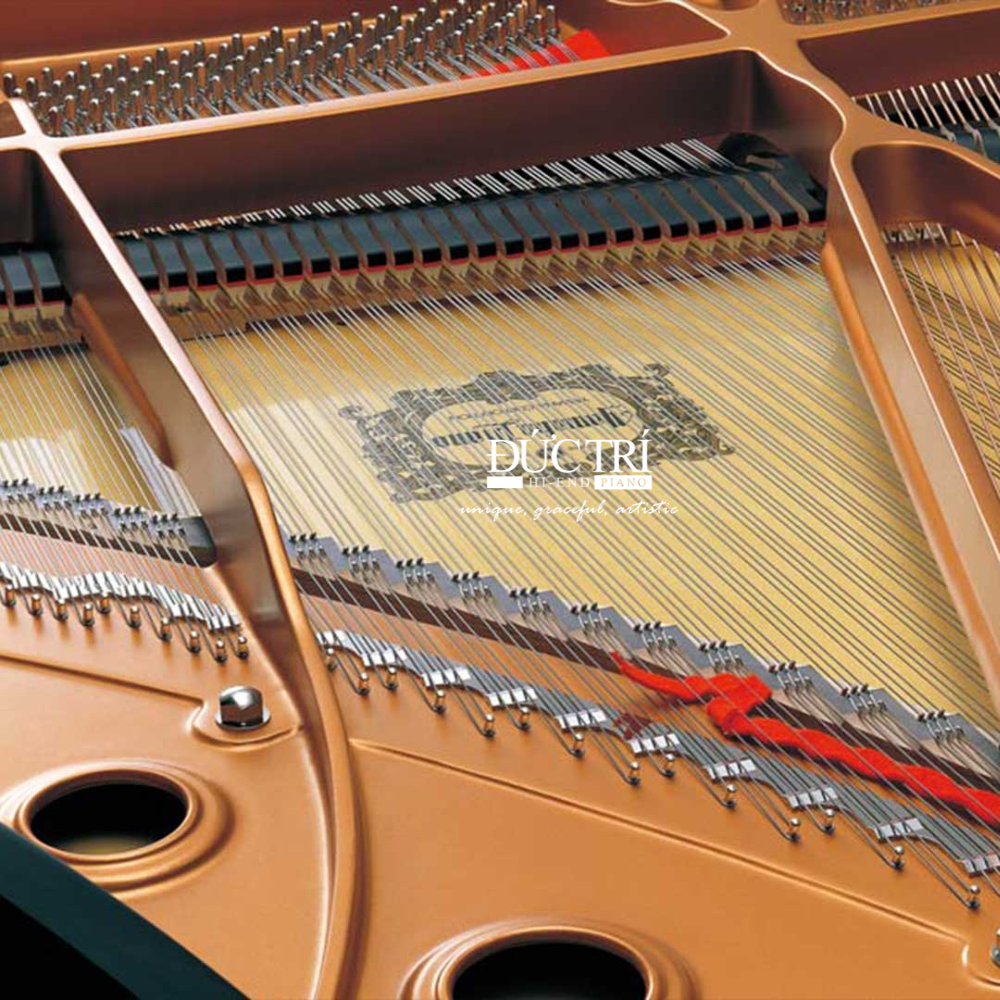 Yamaha CFX 02 So sánh Yamaha CFX và Yamaha S7X dây đàn Yamaha CFX