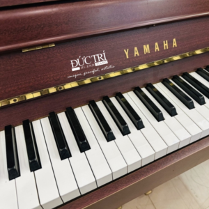 bàn phím Yamaha dup5 màu nâu