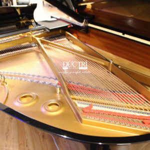 máy steinway A188