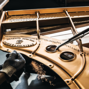 chế tác steinway d274