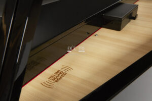 BẢNG ÂM VIVO H10MG BLACK