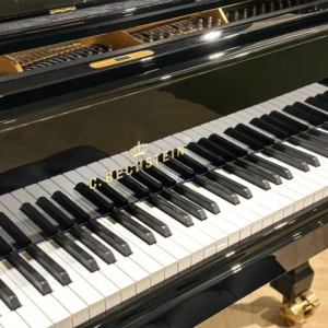 Bàn phím Đàn Piano C.Bechstein A228