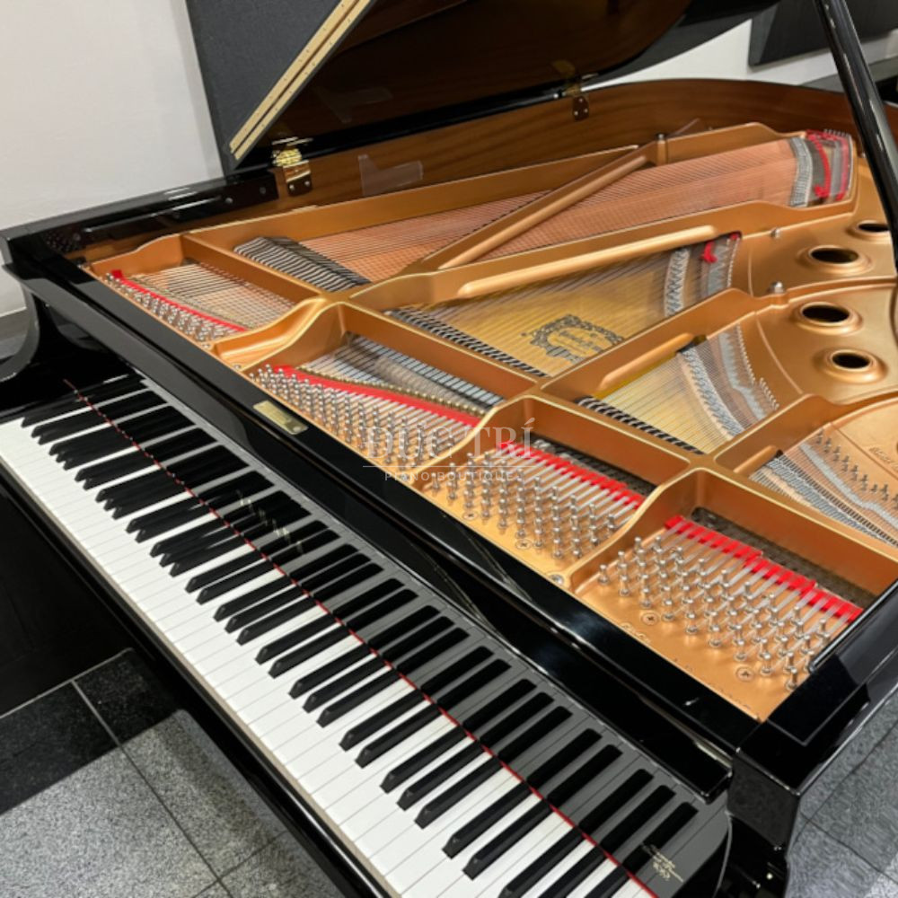 Ben trong dan Yamaha C3AE Yamaha C3AE Bên trong đàn Yamaha C3AE