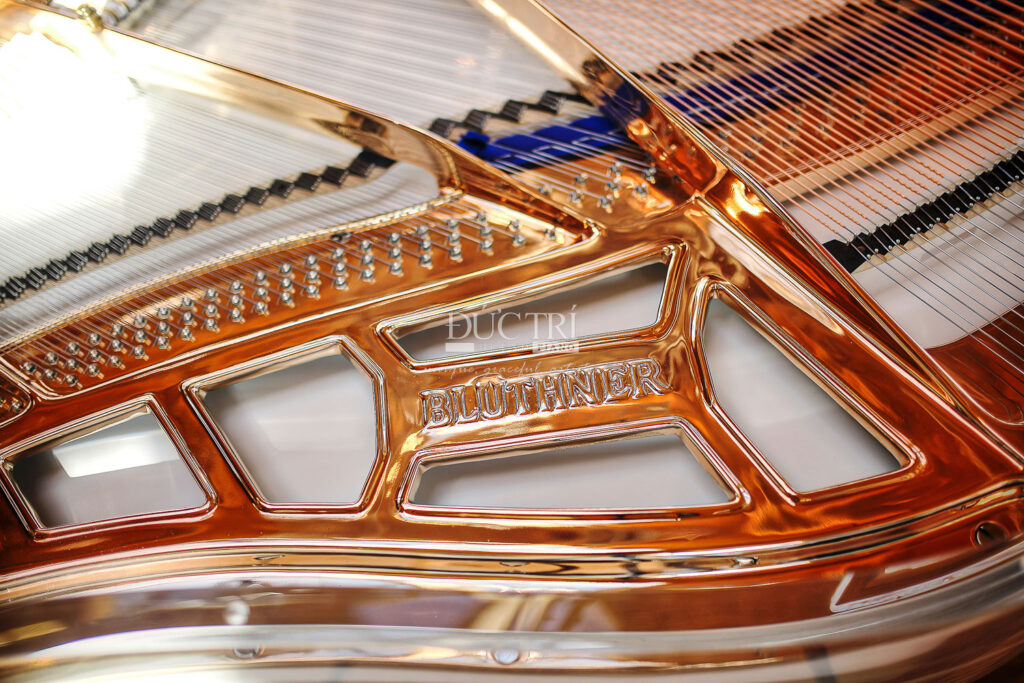 Bluthner Crystal 13 So sánh đàn piano Steinway và Blüthner Blüthner Crystal-13