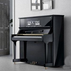Đàn piano Boston Upright Up118e