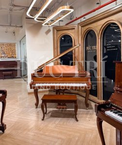 Chân đàn trên đàn Essex EGP-173