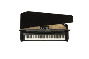 DEXIBELL VIVO H10MG BLACK