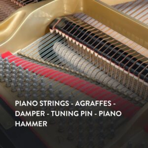 Đàn Grand Piano Yamaha G3A tại showroom Piano Đức Trí