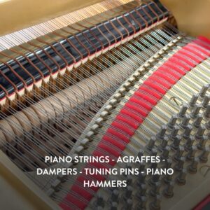 Đàn Grand Piano Yamaha G5A