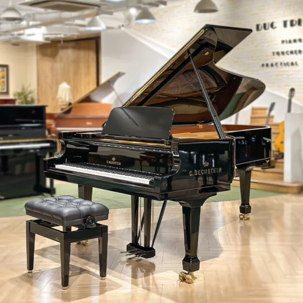 Đàn Piano C.Bechstein A228