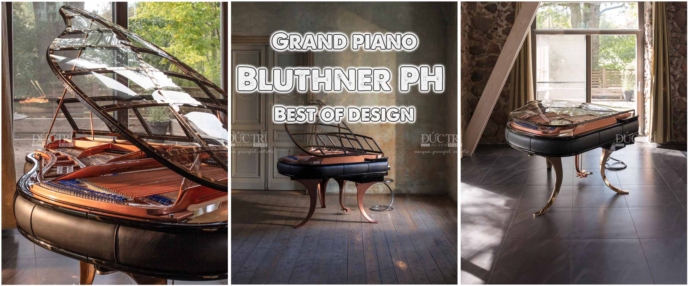 Đàn piano Bluthner PH Edition