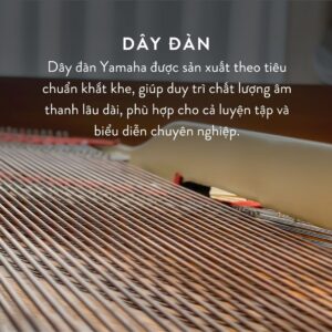 Dây Grand Piano Yamaha G5A
