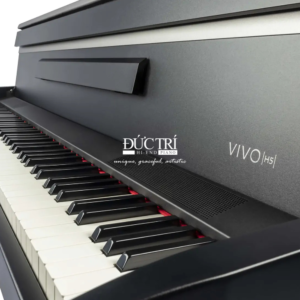 phím Dexibell Vivo H5