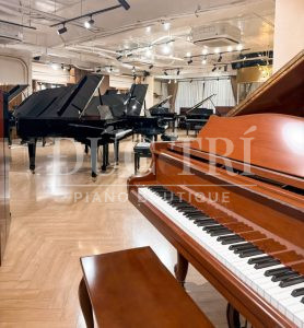 Essex EGP-173 cùng những thương hiệu khác tại Đức Trí Piano Boutique
