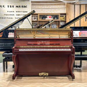 Essex EUP123 máy đàn cao cấp