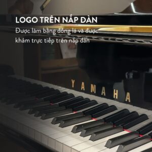 Đàn Grand Piano Yamaha G3A tại showroom Piano Đức Trí