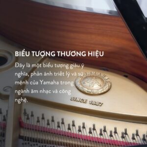 Huy hiệu Grand Piano Yamaha G5A