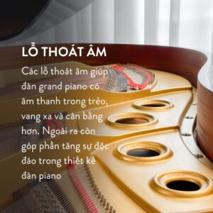 Lỗ thoát âm Grand Piano Yamaha G5A