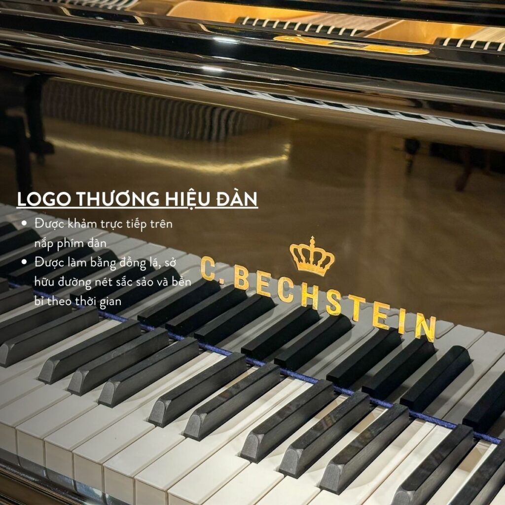Logo Đàn C.Bechtein A.288