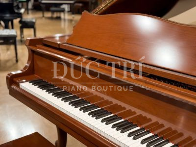 Logo Essex trên đàn Essex EGP-173