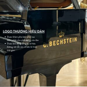 Logo đàn C.Bechtein A.288