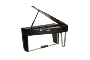 Đàn Piano Điện Dexibell vivo h10mg màu đen