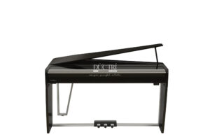 MẶT TRƯỚC DEXIBELL VIVO H10MG BLACK