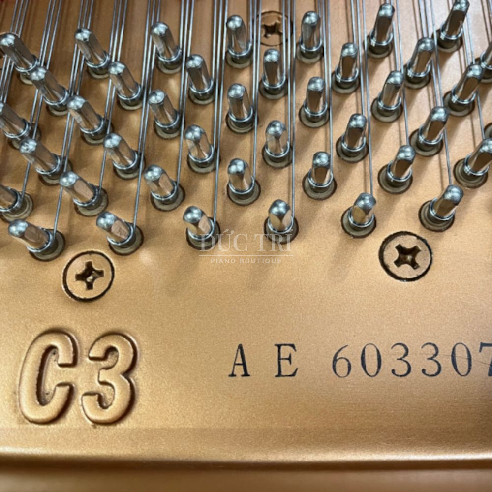 Ma dan tren dan Yamaha C3AE Yamaha C3AE Mã đàn trên đàn Yamaha C3AE