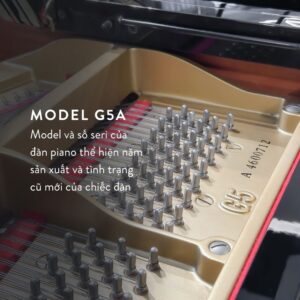 Model Grand Piano Yamaha G5A
