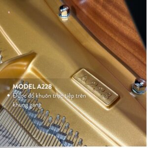 Model đàn C.Bechtein A.288