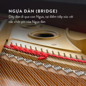 Đàn Grand Piano Yamaha G3A tại showroom Piano Đức Trí