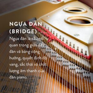 Ngựa Grand Piano Yamaha G5A