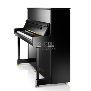 PIANO-Bechstein-R-6