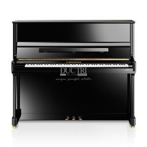 Hình ảnh đàn piano C. Bechstein R6