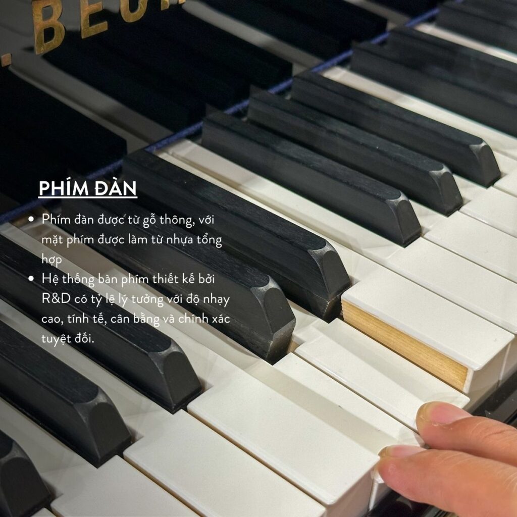 Phím đàn C.Bechtein A.288