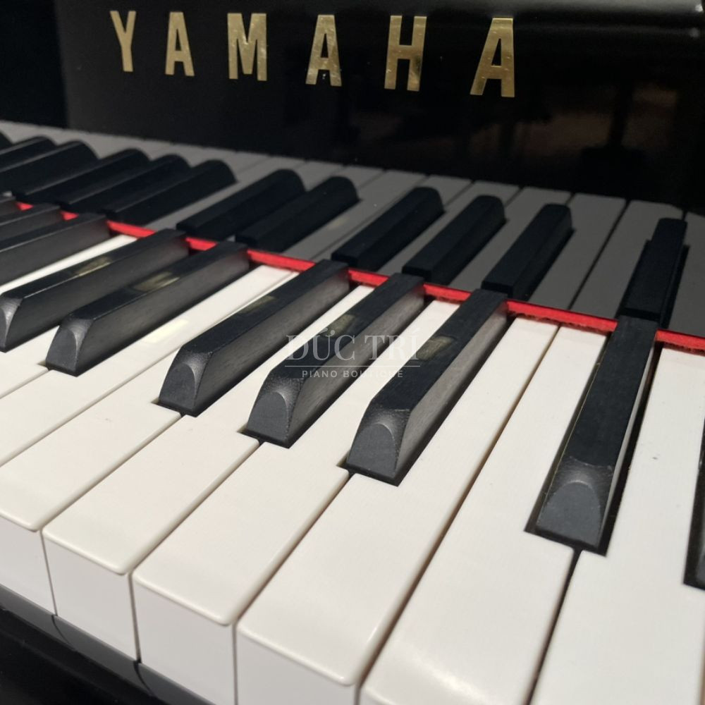 Phim dan tren dan Yamaha C3AE Yamaha C3AE Phím đàn trên đàn Yamaha C3AE