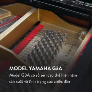 Đàn Grand Piano Yamaha G3A tại showroom Piano Đức Trí