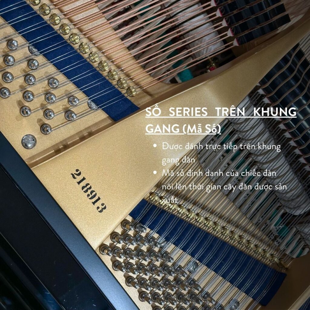 Số Seri C.Bechtein A.288