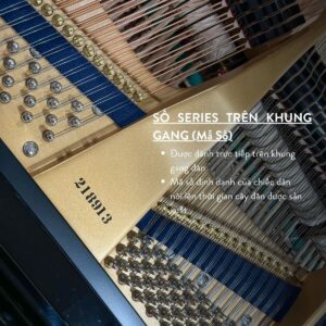 Số Seri C.Bechtein A.288