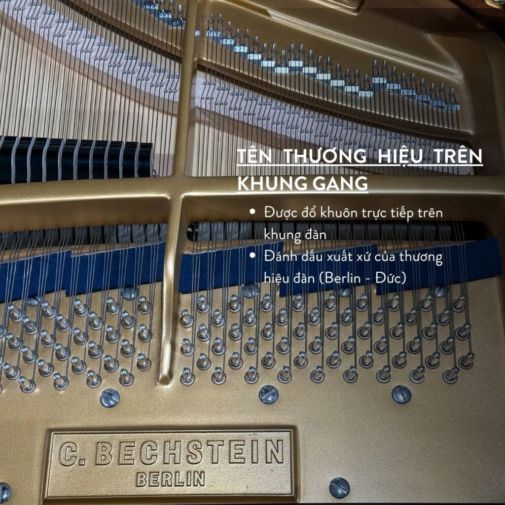 Thương hiệu C.Bechtein A.288