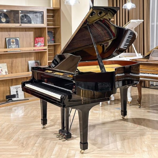 Yamaha G3A