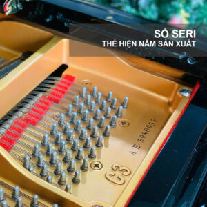 Số seri yamaha c3ae sản xuất 2007