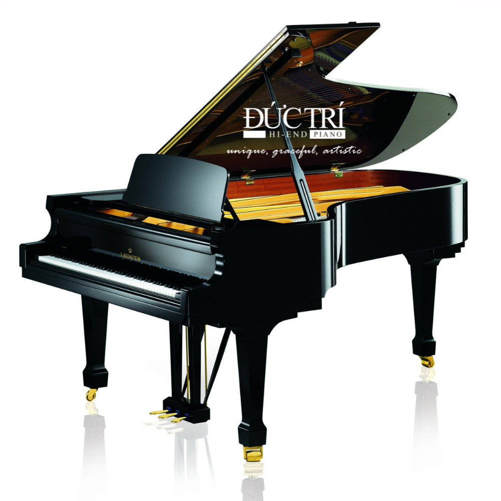 Bechstein Academy A 228 Dòng C. Bechstein Academy Grand Pianos 