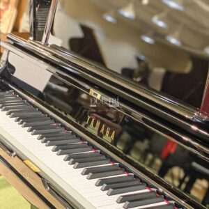 GIÁ NHẠC YAMAHA YUS5