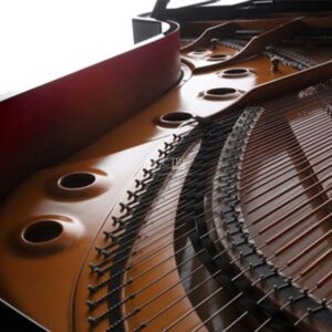 Khung gang V Pro Kawai GX5