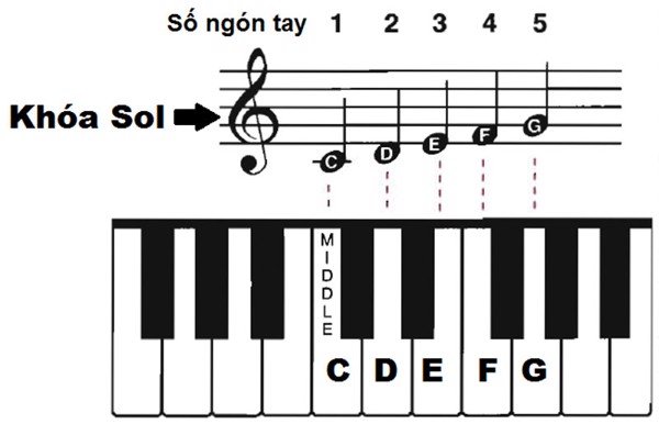 Khóa Sol, là khóa nhạc được sử dụng phổ biến nhất