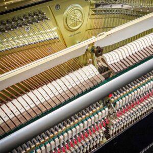 MÁY ĐÀN YAMAHA YUS5